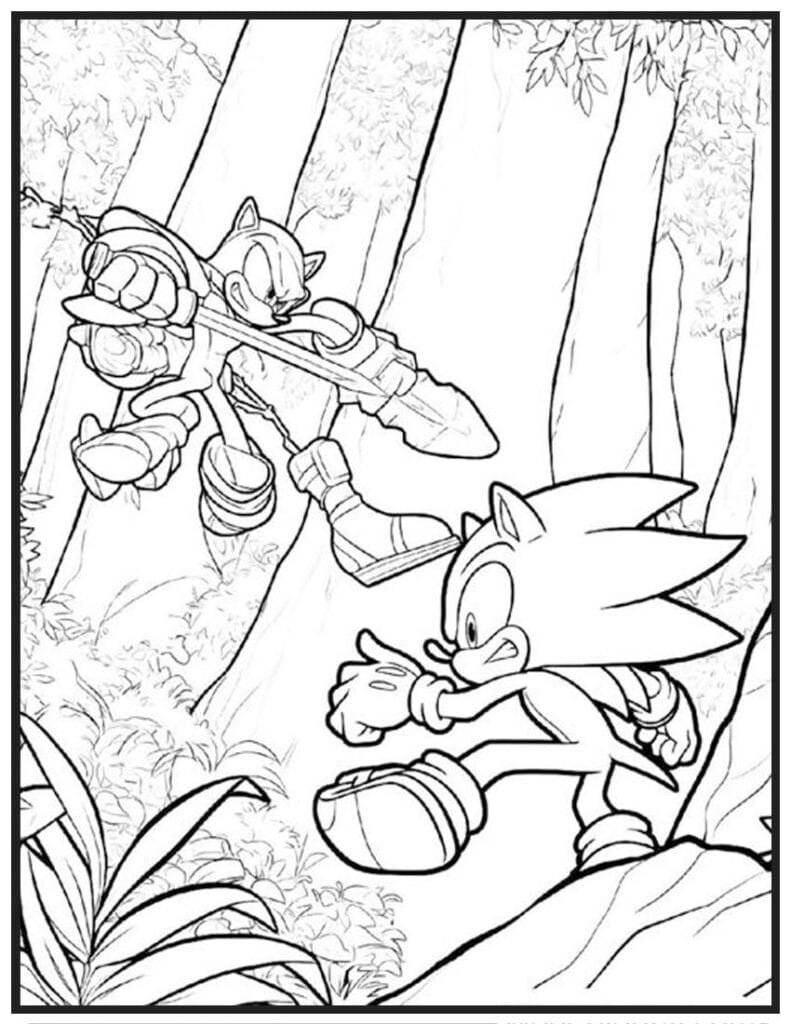 Sonic vs. Shadow