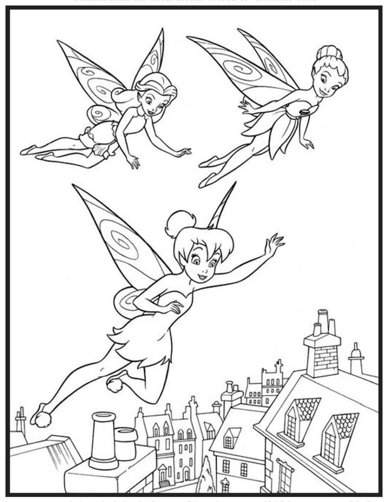 Fairies Town Visiting Adventure