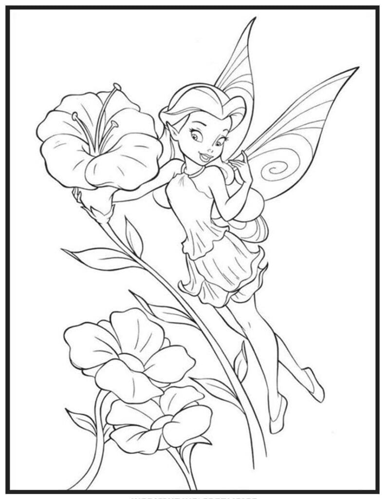 Flower Fairy