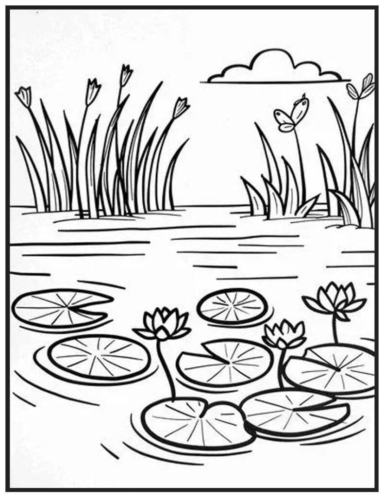 Lily Pond