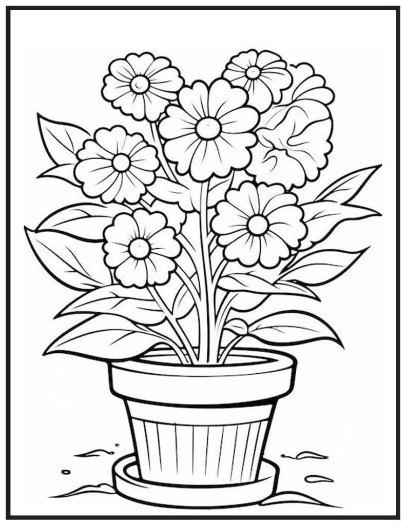 Potted Flowers