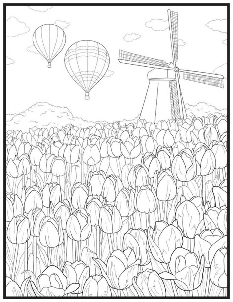 Tulips and Windmill